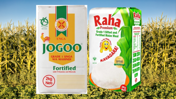 Premium Fortified Maize Flour