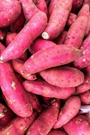 Sweet Potatoes (Red)