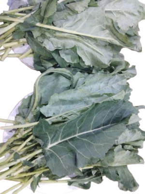 Collard Greens (Fresh Vegetable)